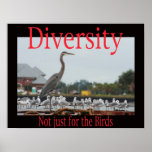 Diversity, not just for the birds posters
