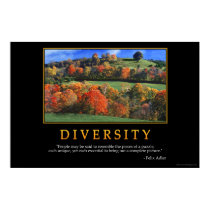 Diversity posters