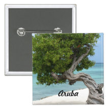 Divi Divi Tree in Aruba Button