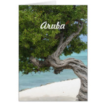 Divi Divi Tree in Aruba Cards
