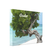 Divi Divi Tree in Aruba Gallery Wrapped Canvas