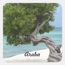 Divi Divi Tree in Aruba Stickers