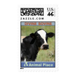 Divine Bovine postage