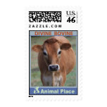 Divine Bovine Postage