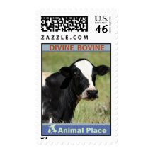 Divine Bovine Postage
