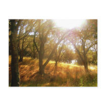 Divine Inspiration postcards