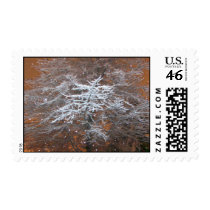 Divine Light postage