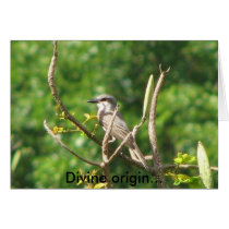 Divine origin... cards by zulmab Divine origin... cards
