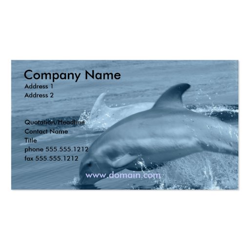 Diving Dolphin Business Card (front side)