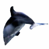 Diving Dolphin Sculpted Marine Wildlife Art Magnet Cut Out