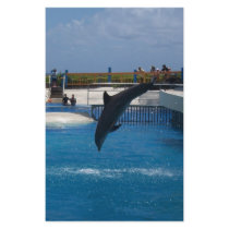 Diving Dolphin stationery by KanweieneaKreations Diving Dolphin stationery