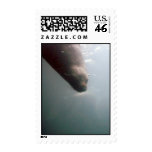 Diving Fur Seal stamp