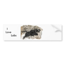 Diving In Bumper Sticker bumper stickers