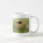 Diving In Mugs