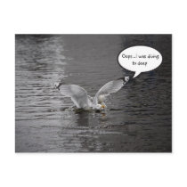 Diving to deep postcards