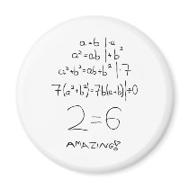 Division by zero fridge magnet