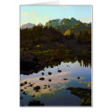 Divorce Lake cards