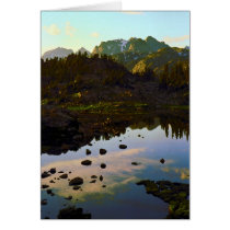 Divorce Lake cards