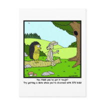 Divorced: Rabbit Cartoon Post Card