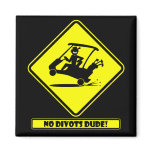 Divots DUDE-1 magnets