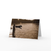 Dixie jumping from dock cards by Catahoula Dixie jumping from dock cards