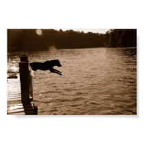 Dixie jumping off the dock posters by Catahoula Dixie jumping off the dock posters