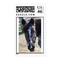 Dixie postage by kellie_ctrh Dixie postage