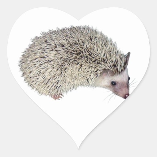 hedgehog doll touch your heart