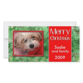DIY Merry Christmas Personalized Photo Card photocard