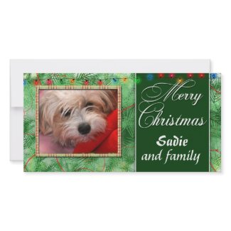DIY Merry Christmas Personalized Photo Card photocard