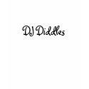 DJ Diddles t-shirts