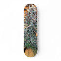 Dja Board skateboards