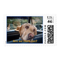 Django postage