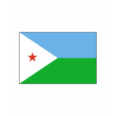 Djibouti FLAG International Tee Shirts by flagshirt
