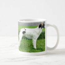 Dmitri mugs