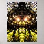 DMT 'AURUS Forest Poster