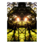 DMT 'AURUS Forest Poster