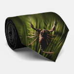 bestseller, scorpion, detail, nature, tie, gift,