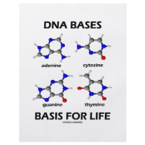 DNA Bases Basis For Life (Chemistry Molecules) Flyers