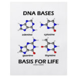 DNA Bases Basis For Life (Chemistry Molecules) flyers