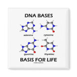 DNA Bases Basis For Life (Chemistry Molecules) magnets