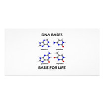 DNA Bases Basis For Life (Chemistry Molecules) Picture Card