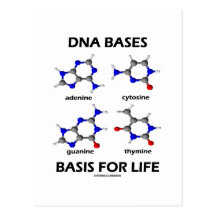 DNA Bases Basis For Life (Chemistry Molecules) Postcards