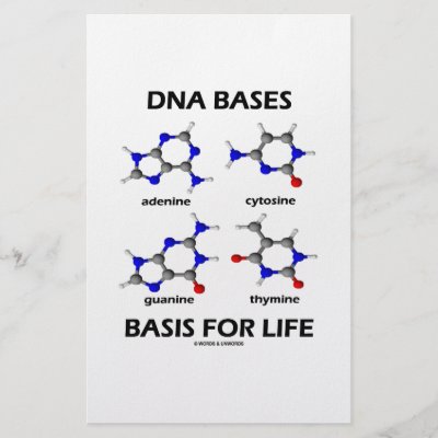 Four Dna Bases