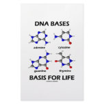 DNA Bases Basis For Life (Chemistry Molecules) stationery