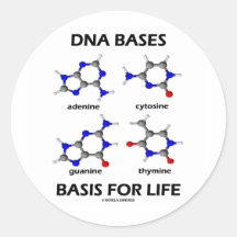 DNA Bases Basis For Life (Chemistry Molecules) Round Sticker