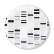 DNA Code Art Black on White Magnets