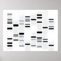 DNA Code Art Black on White Posters
