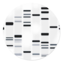 DNA Code Art Black on White Round Sticker