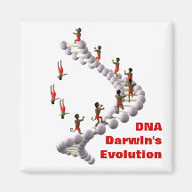 DNA Darwin's Evolution Fridge Magnets